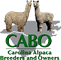 Carolina Alpaca Breeders & Owners